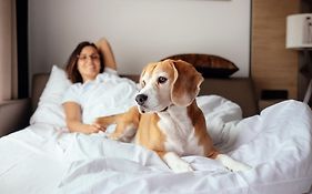 Hotel Indigo Tallahassee - Collegetown By Ihg